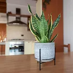 Apartment Isotta *