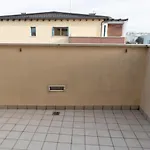 Apartment Isotta