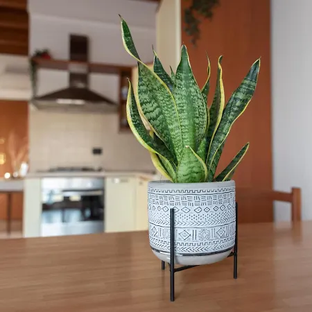 Appartement Isotta *